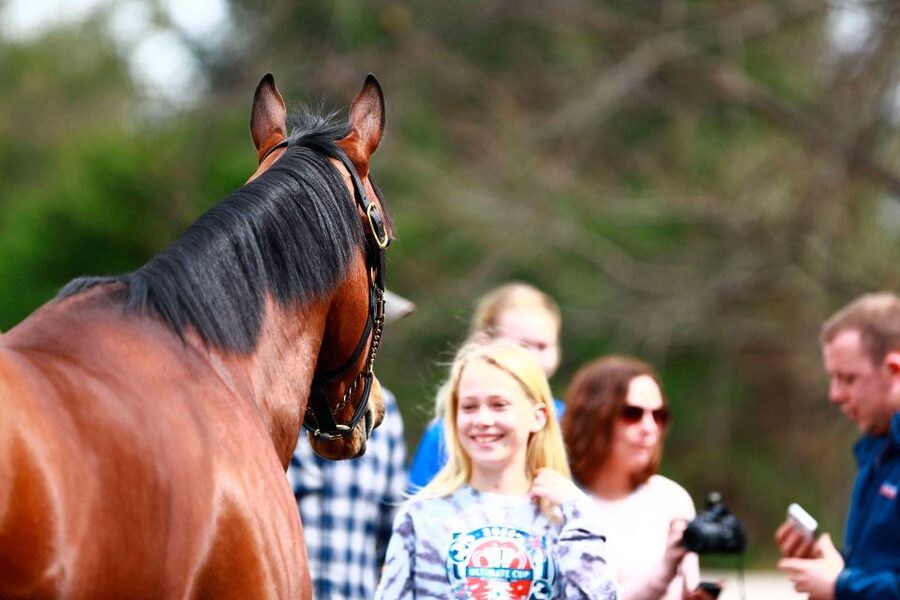 Lexington: Thoroughbred Horse Farm Tour and Scenic Bluegrass - Who will enjoy this tour most?