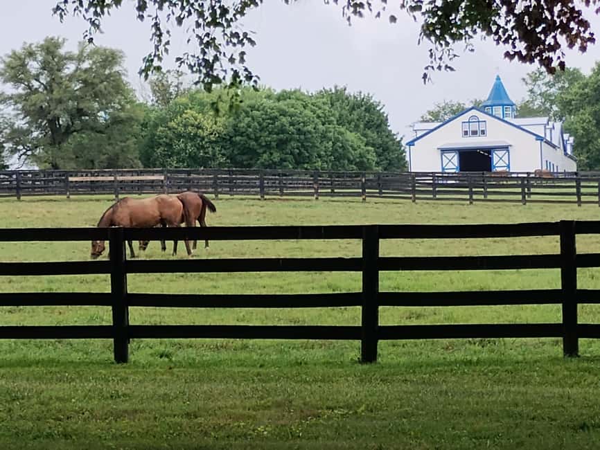 Lexington: Thoroughbred Horse Farm Tour and Scenic Bluegrass - The 14-person van and the route from Waller Avenue