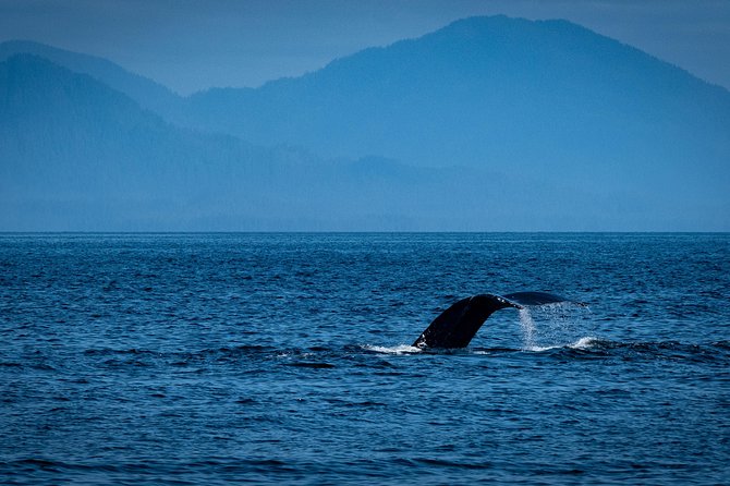 Lighthouse, Totems & Eagles Excursion (Ketchikan) - Guides, storytelling, and the feel onboard