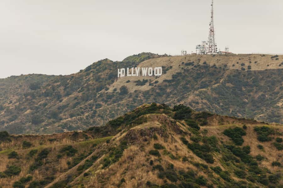 Los Angeles: Half-Day Best of LA Tour - The guide quality is a major part of the value