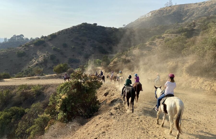 Los Angeles: Mulholland Trail Horseback Riding Tour - Riding beneath the Hollywood Sign