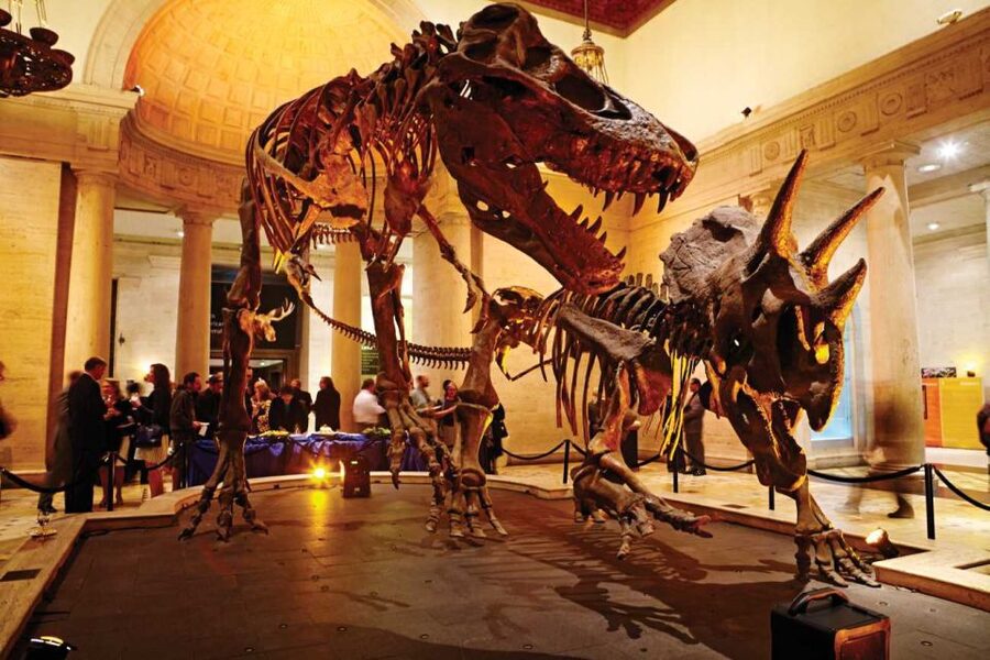 Los Angeles: Natural History Museum of LA Entry Ticket - Follow Los Angeles from nature to city