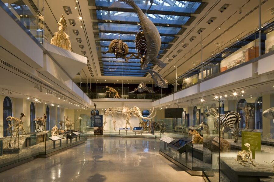 Los Angeles: Natural History Museum of LA Entry Ticket - Step outside into the 3.5-acre Nature Gardens