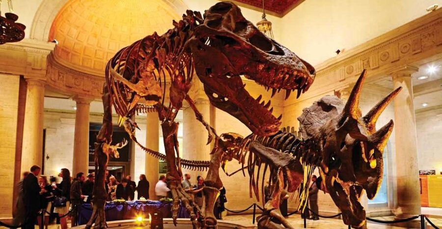 Los Angeles: Natural History Museum of LA Entry Ticket - See science happening in the Dino Lab