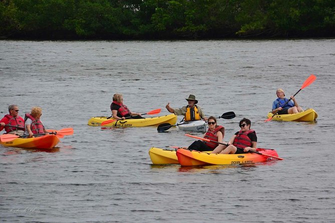 Lovers Key Guided Eco Tour-Mangrove Estuary - What happens during the 2-hour-15-minute paddle