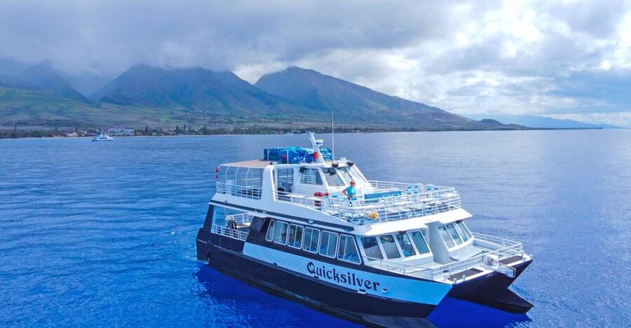 Ma'alaea Harbor: Whale Watching Tour Aboard Power Catamaran - A closer look at the double-deck catamaran