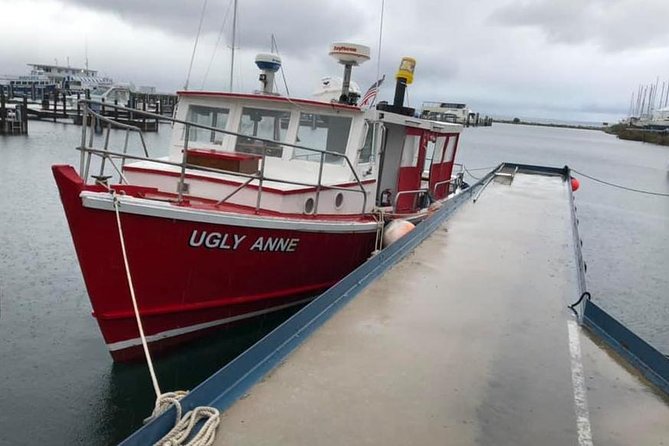 Mackinaw City Sunset Cruise - Weather, cancellations, and practical booking advice