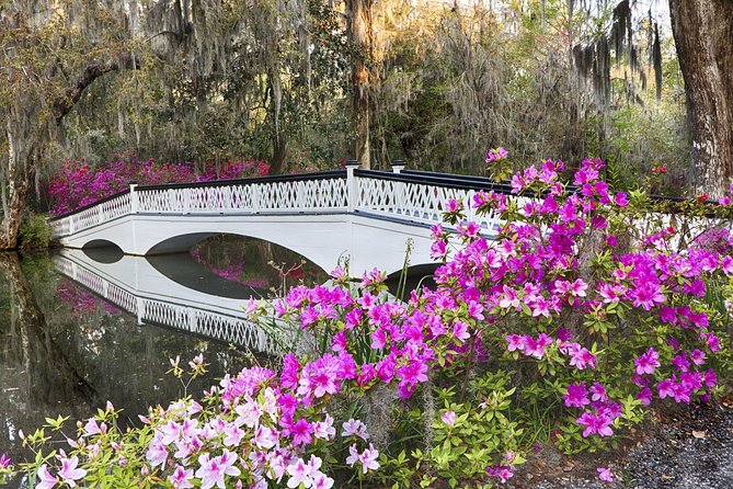 Magnolia Plantation Admission & Tour with Transportation from Charleston - Why Magnolia works as a half-day from Charleston