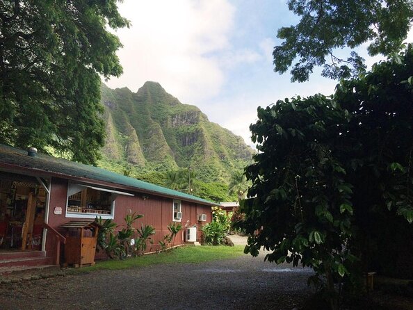 Majestic Circle Island Tour with Lunch - A full day around Oahu, without the rental car
