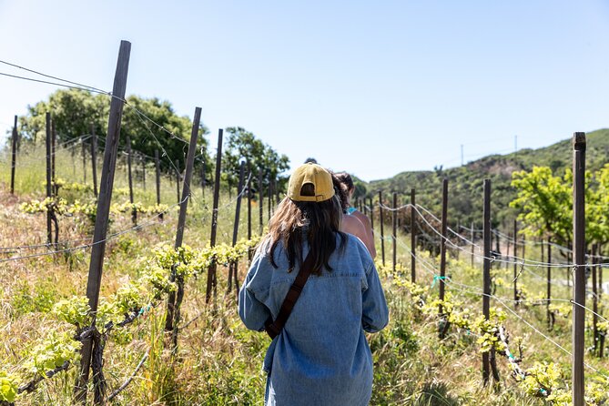 Malibu: Guided Vineyard Hike with Photo Stops and Wine - Key points at a glance