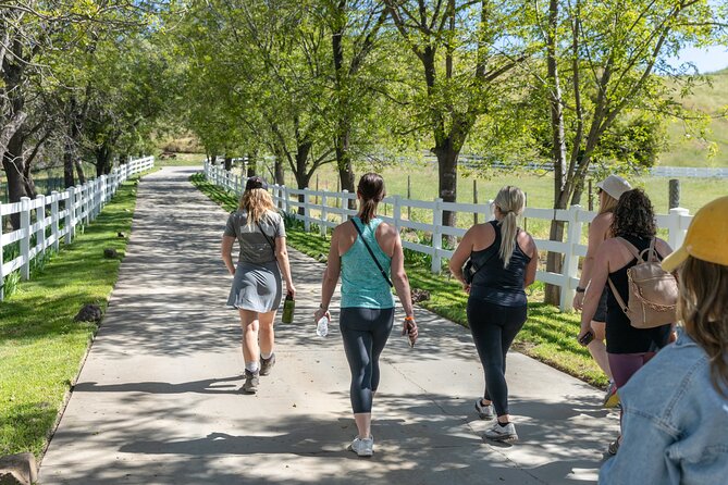 Malibu: Guided Vineyard Hike with Photo Stops and Wine - A Malibu vineyard walk with a little more underfoot