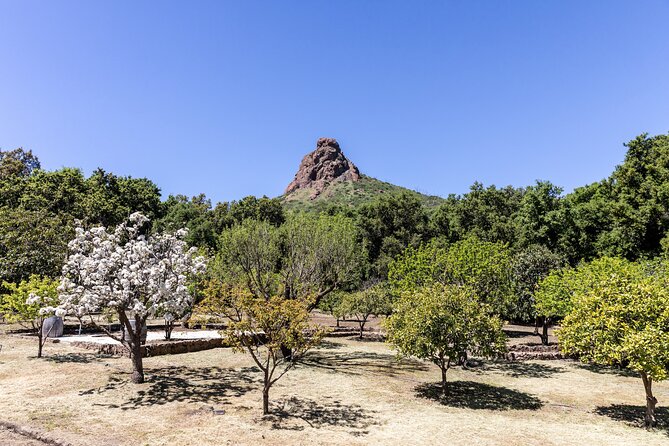 Malibu: Guided Vineyard Hike with Photo Stops and Wine - The organic garden and working property