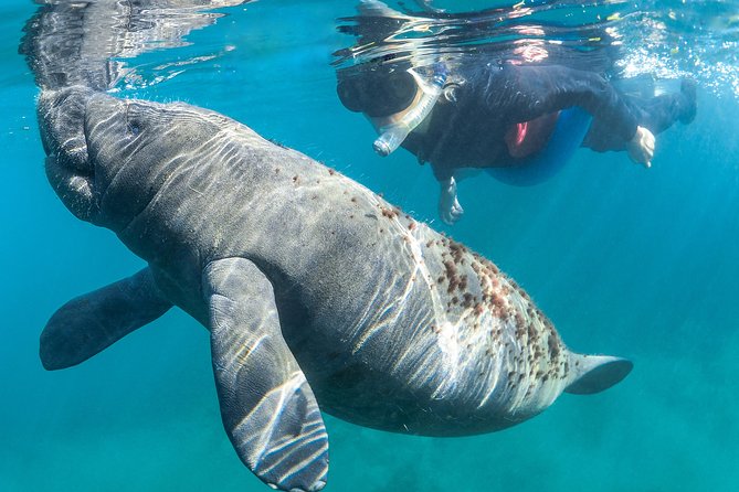 Manatee Swim Tour with In Water Photographer - Preparing for the water with an in-water guide