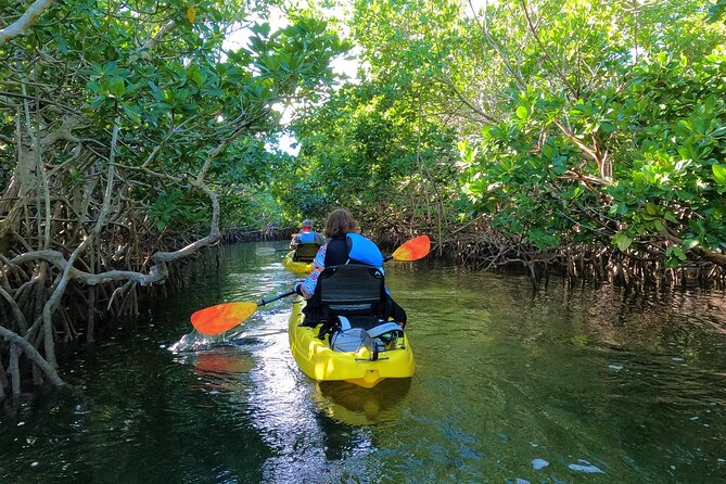 Mangrove Tunnel Kayak Adventure in Key Largo - Why the small group makes a difference