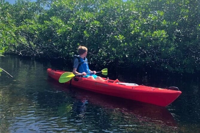 Mangrove Tunnel Kayak Adventure in Key Largo - Wildlife is possible, not guaranteed