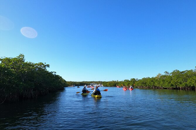Mangrove Tunnel Kayak Adventure in Key Largo - Optional snorkeling beneath the mangroves