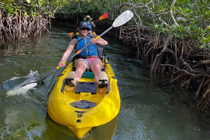 Mangrove Tunnel Kayak Adventure in Key Largo - Meeting point, timing, and cancellation rules