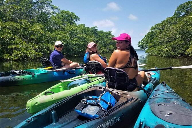 Mangrove Tunnel Kayak Adventure in Key Largo - Kayaking for beginners, families, and couples