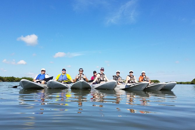 Mangrove Tunnels, Dolphins, Manatee Tour #1 Rated in Cocoa Beach - Why the mangrove tunnels make this Cocoa Beach tour special
