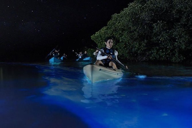 Mangrove Tunnels, Dolphins, Manatee Tour #1 Rated in Cocoa Beach - How difficult is the kayaking?