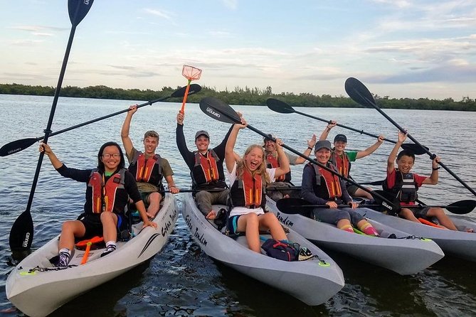 Mangrove Tunnels, Dolphins, Manatee Tour #1 Rated in Cocoa Beach - Small groups and the pace on the water