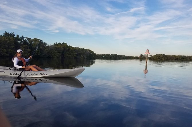 Mangrove Tunnels, Dolphins, Manatee Tour #1 Rated in Cocoa Beach - Who will enjoy this most?