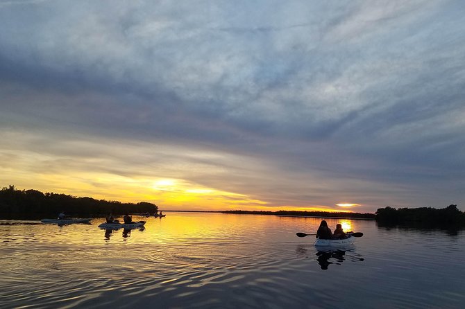 Mangrove Tunnels, Dolphins, Manatee Tour #1 Rated in Cocoa Beach - What happens during the two-hour paddle