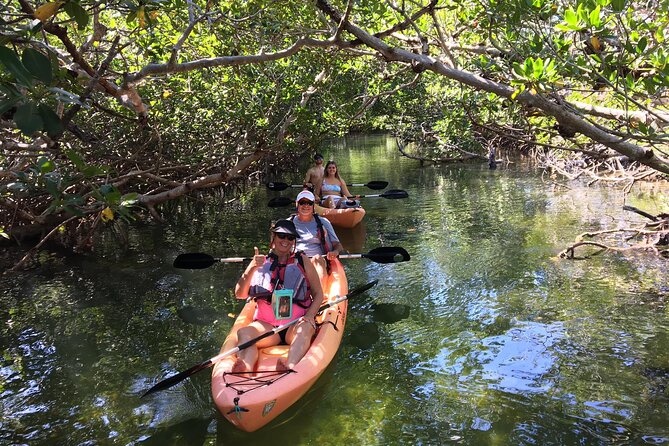 Mangroves and Manatees - Guided Kayak Eco Tour - Starting at the shop on Old Highway