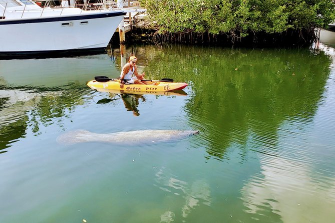 Mangroves and Manatees - Guided Kayak Eco Tour - Learning the basics before you leave shore