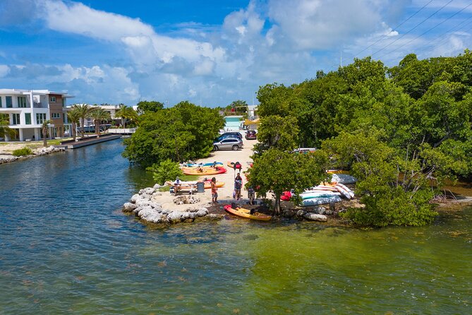 Mangroves and Manatees - Guided Kayak Eco Tour - How difficult is the paddle?