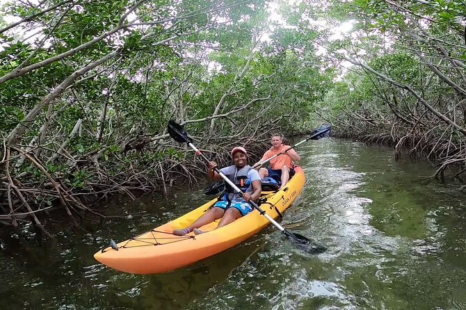 Mangroves and Manatees - Guided Kayak Eco Tour - Why the guide can make or break the day