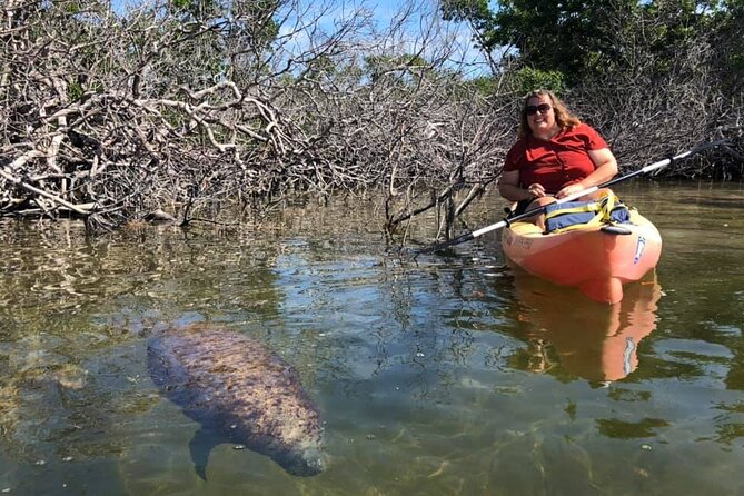 Mangroves and Manatees - Guided Kayak Eco Tour - Is $69 a fair price?