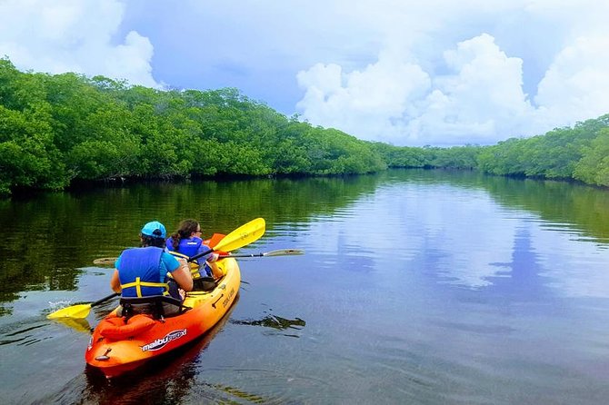 Mangroves and Manatees - Guided Kayak Eco Tour - Paddling into Tavernier Creek
