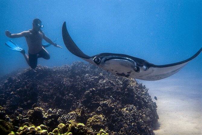 Manta Magic: Small-Group Manta Ray Night Snorkel in Kailua Kona - Small boat benefits and trade-offs