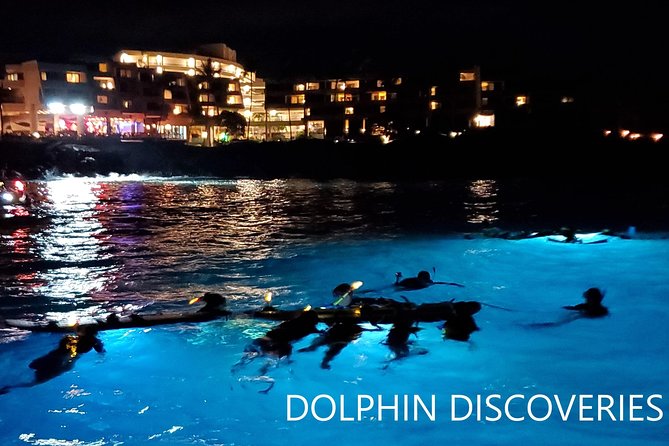 Manta Ray Night Snorkel at Kona, Big Island - What the night snorkel feels like in the water