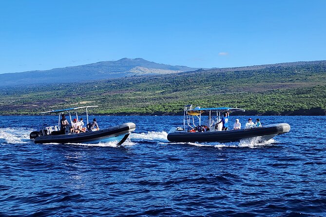 Manta Ray Night Snorkel at Kona, Big Island - The good and the frustrating parts of a shared group
