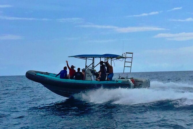 Manta Ray Night Snorkel at Kona, Big Island - Who should book this Kona manta experience