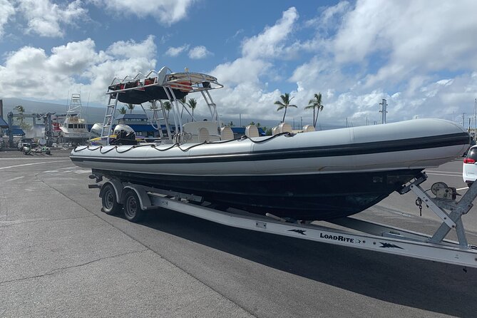 Manta Ray Night Snorkel from Kona — Small Group - What the crew adds to the experience
