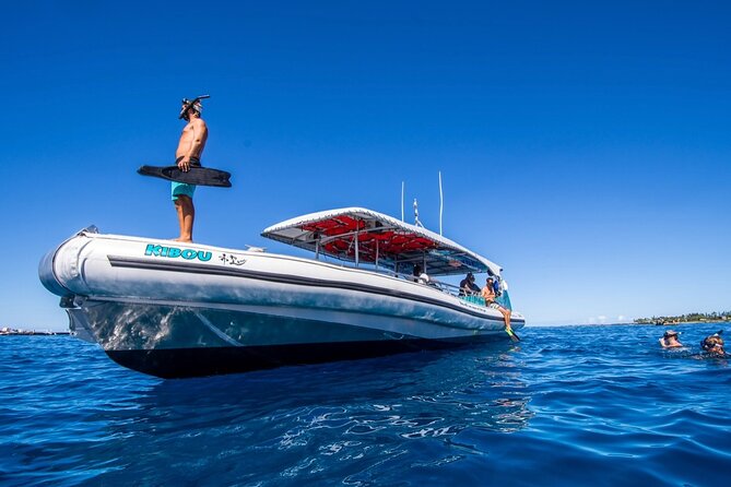 Manta Ray Night Snorkel from Kona — Small Group - What you receive for $123