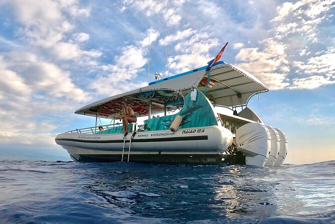 Manta Ray Night Snorkel from Kona — Small Group - Comfort, clothing, and the ride home