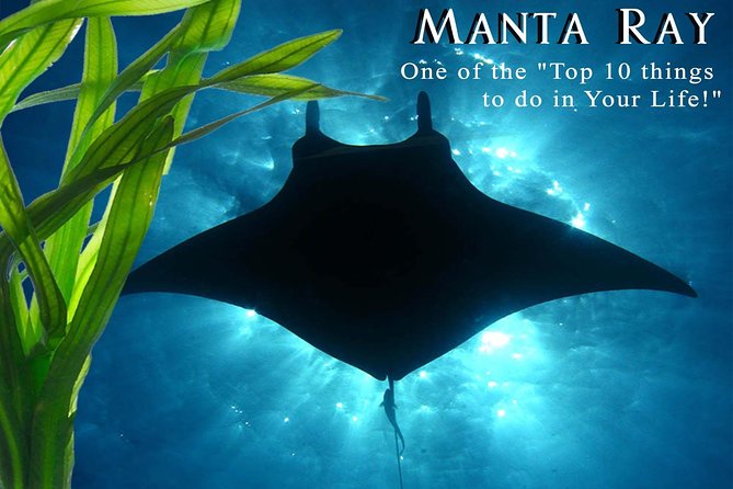 Manta Ray Night Snorkel from Kona — Small Group - Sunset sets the mood for the manta site