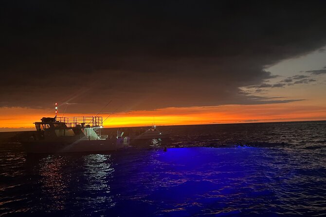 Manta Ray Night Snorkel in Kona - Crew, safety, and the feel of the evening