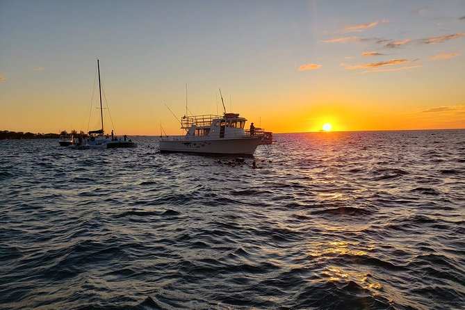 Manta Ray Night Snorkel in Kona - Price and overall value at $125
