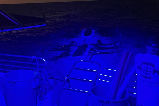 Manta Ray Night Snorkel in Kona - The manta ray encounter after dark