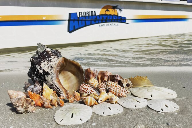 Marco Island Wildlife Sightseeing and Shelling Tour - Through the mangrove maze of the Ten Thousand Islands