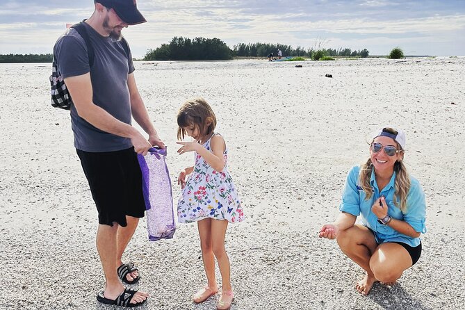 Marco Island Wildlife Sightseeing and Shelling Tour - Wildlife watching with realistic expectations