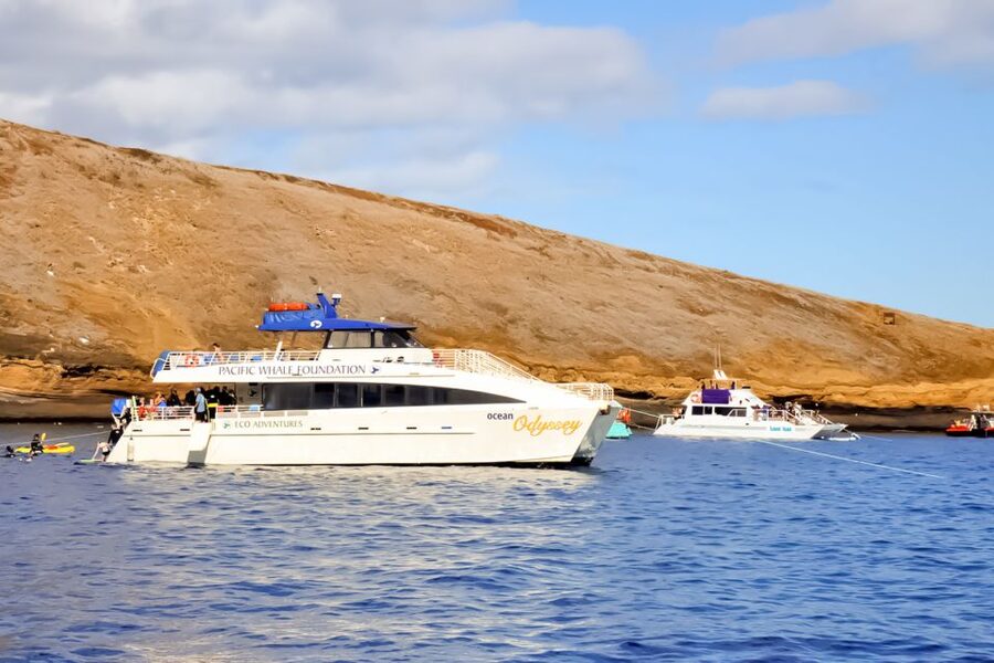 Maui: Eco-Friendly Molokini & Turtle Town Tour with Meals - Turtle Arches and the search for sea turtles
