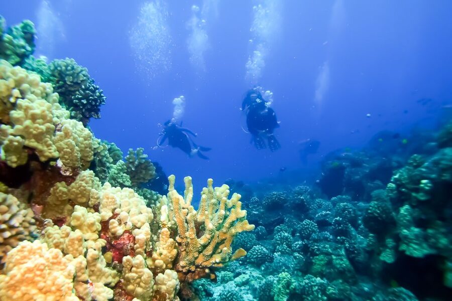 Maui: Eco-Friendly Molokini & Turtle Town Tour with Meals - Food after the swim, and what the meals are really worth