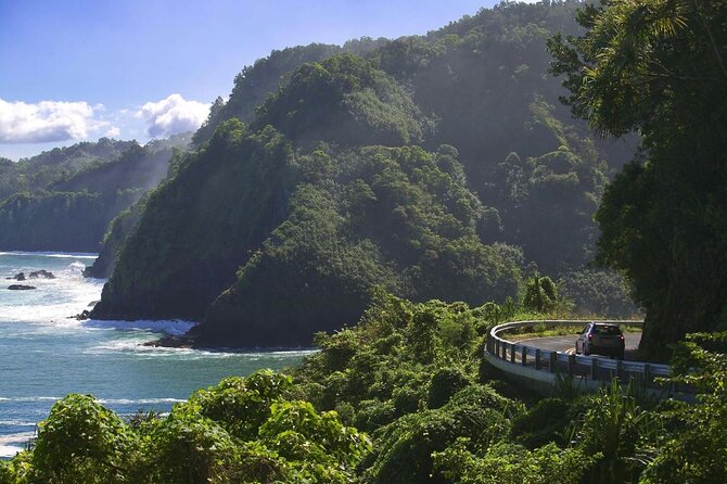 Maui: Famous Road to Hana Waterfalls and Lunch by Mercedes Van - Road to Hana highlights at a glance
