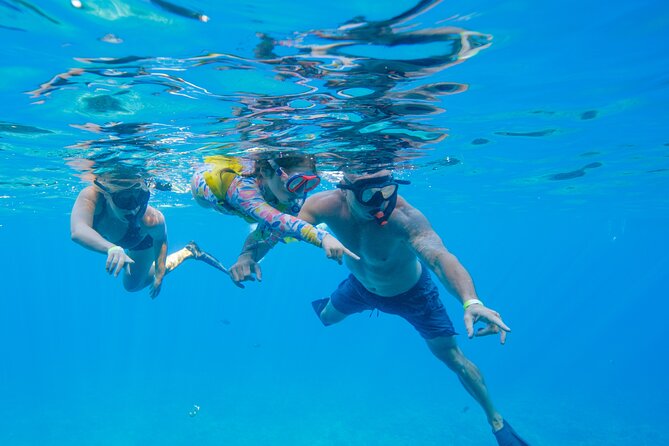 Maui: Molokini Crater and Turtle Town Snorkeling From Kihei - The $179 price and what you receive